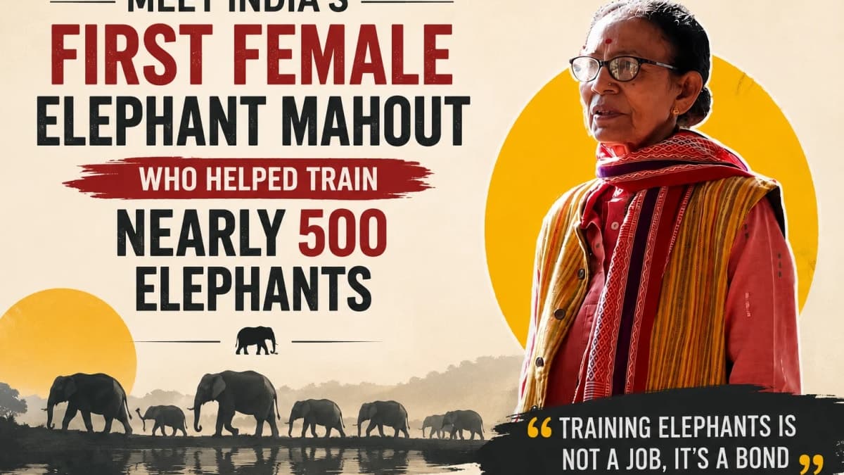 Meet India’s First Female Elephant Mahout Who Helped Train Nearly 500 Elephants